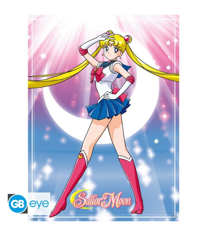 Sailor Moon Set 2 Posters Chibi Sailor Moon y gatos