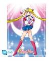 Sailor Moon Set 2 Posters Chibi Sailor Moon y gatos