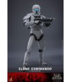 Star Wars: The Bad Batch 1/6 Clone Commando