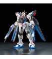 RG Strike Freedom Zgmf-X20A Gundam 1/144 Model Kit
