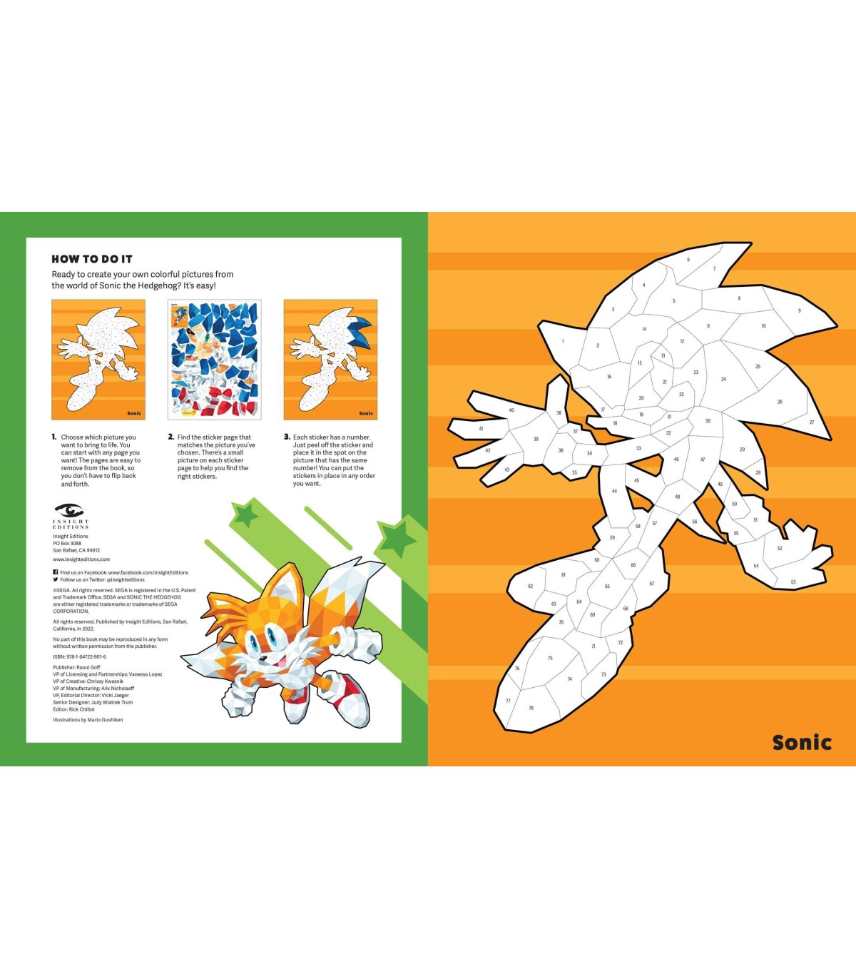 Amy Coloring Pages  Sonic para colorear, Páginas para colorear de pokemon,  Dibujos