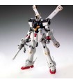 MG Gundam Xm-X1 Crossbone Gundam X1 1/100 Ver.Ka